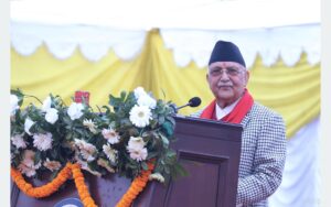 kp oli